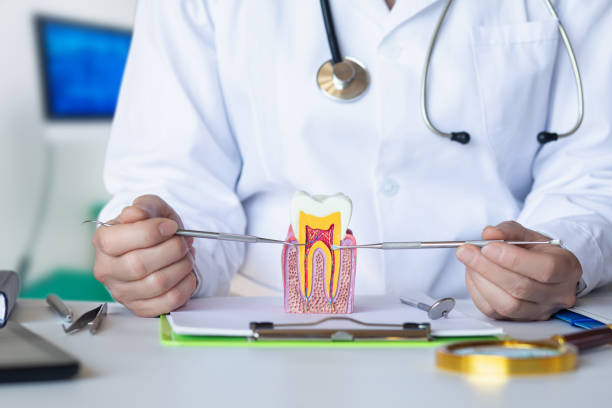 Best Walk-In Emergency Dental Services in Tracyton, WA